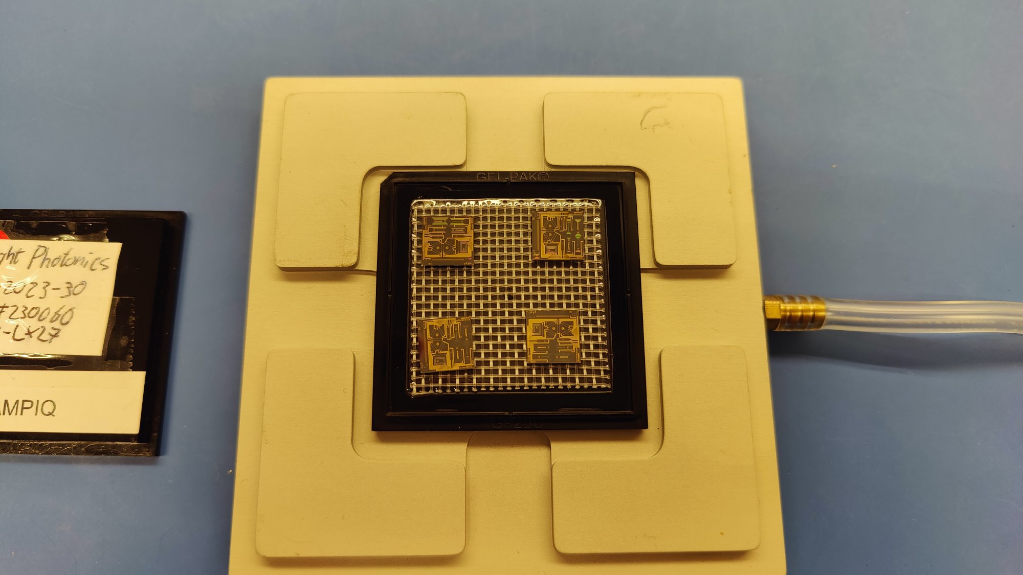 amPICQ fabricated chip